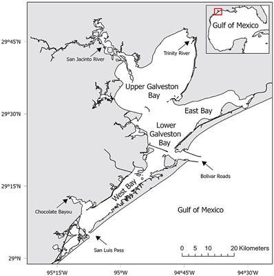 Predicting habitat suitability for the co-occurrence of an estuarine mesopredator and two top predatory fishes